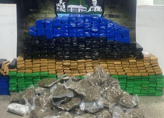 484 quilos de maconha são apreendidos em Santo Antônio de Leverger pela Polícia Militar
