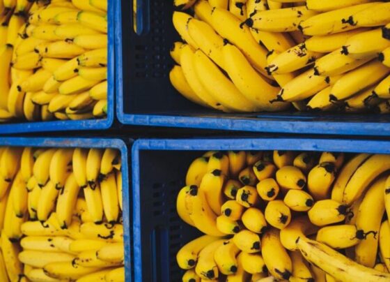 Batata, banana e tomate mais baratos ajudam a diminuir preço da cesta básica em Cuiabá