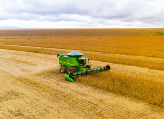 França: protecionismo disfarçado de sustentabilidade e a urgência de ação do Governo Brasileiro
