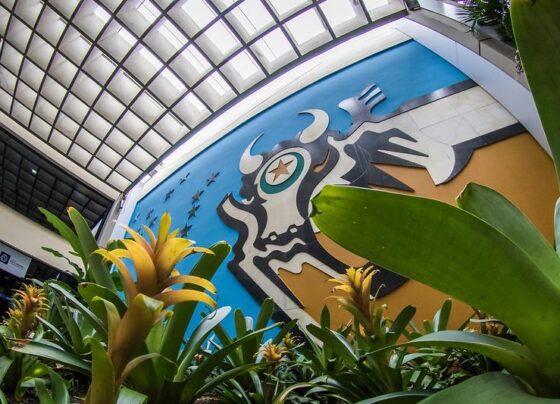 Governo de MT irá economizar R$ 47,5 milhões com a extinção da Metamat