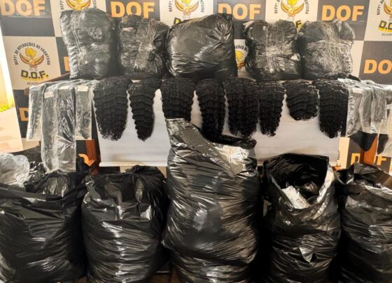 Design sem nome 2024 11 22T145047.887