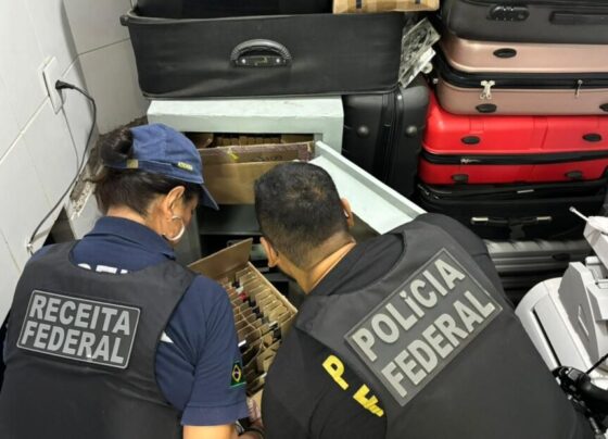 PF e Receita Federal fazem operação contra importação ilegal do Paraguai e dos EUA