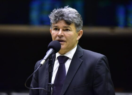 CCJ aprova projeto que prevê recontagem física de votos; Medeiros comemora conquista