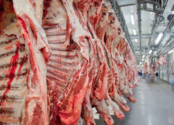 China abre investigação sobre importação de carne bovina