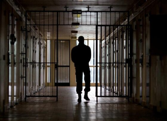 Em que áreas os Estados poderão criar leis próprias no direito penal?