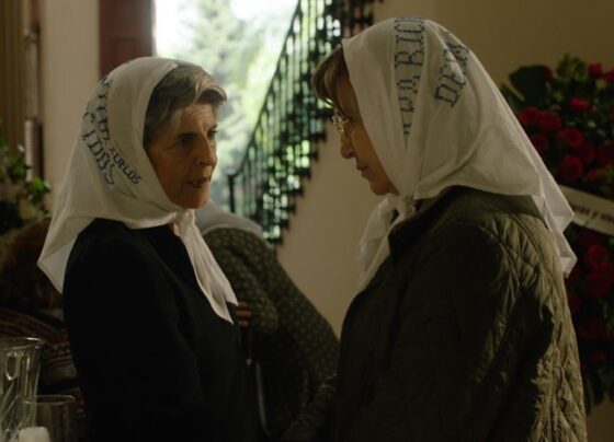 A Procura de Martina