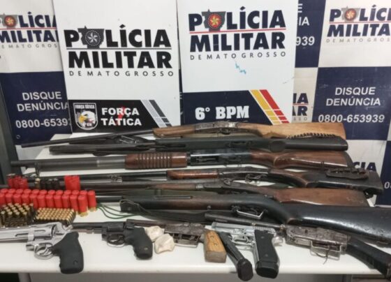 Mais de 13 mil armas de fogo ilegais foram apreendidas em MT entre 2019 e 2024