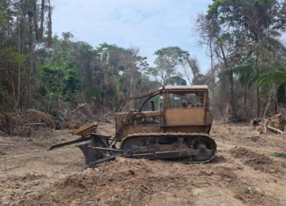 Sema apreende trator e madeira e aplica multa de R$ 215 mil em ação da Operação Amazônia