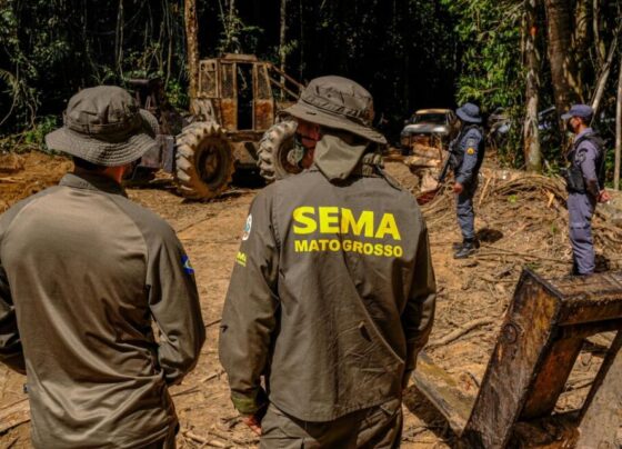 Sema deflagra 298 operações e aplica R$ 1,6 bilhão contra crimes ambientais em 2024