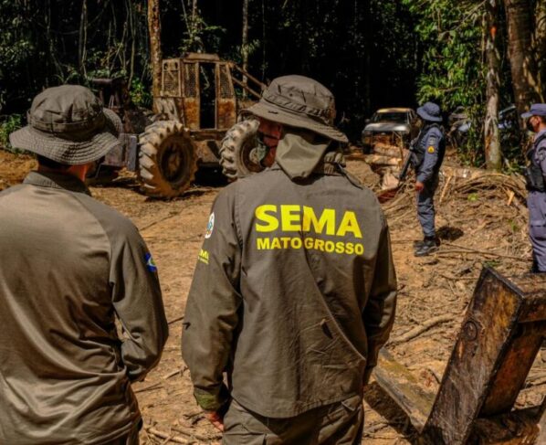 Sema deflagra 298 operações e aplica R$ 1,6 bilhão contra crimes ambientais em 2024