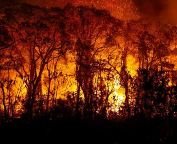 Brasil tem 1 milhão de focos de queimadas registrados em 5 anos