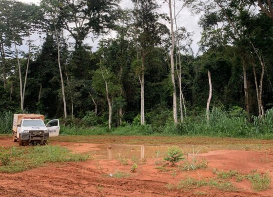 Wilner, Andris, Rafael e Matheus, respectivamente, estavam enterrados em cemitério clandestino de MT. (Foto: Reprodução)