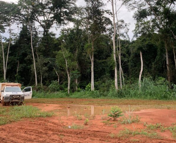 Wilner, Andris, Rafael e Matheus, respectivamente, estavam enterrados em cemitério clandestino de MT. (Foto: Reprodução)
