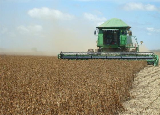 Governo de MT tem linha de crédito para financiar equipamentos, máquinas e implementos agrícolas