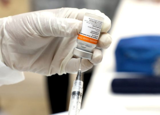 Dengue: Anvisa pede esclarecimentos para aprovar vacina do Butantan