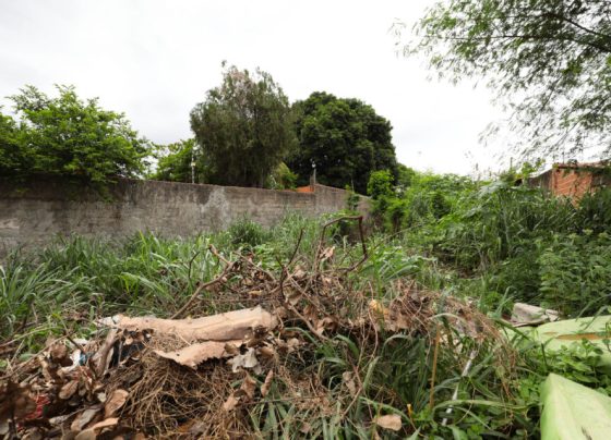 Terreno sujo gera multas e pode ser denunciado via WhatsApp