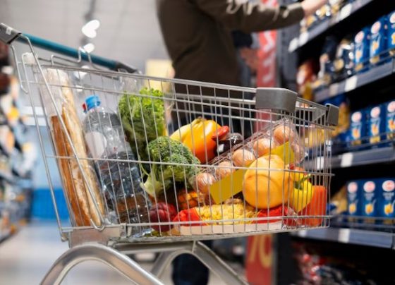 IPCA-15 registra alta de 0,64% em março; combustíveis e alimentos pressionam índice