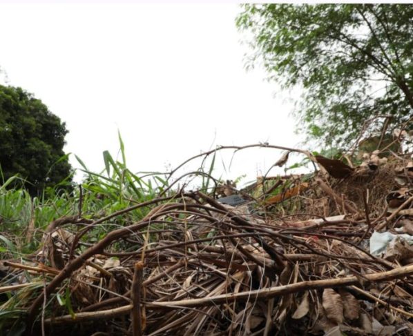 Mais de 300 terrenos baldios já foram notificados em Cuiabá
