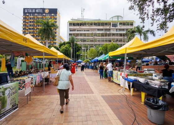 Cerca de 50 expositores devem participar da 4ª Feira da Agricultura Familiar