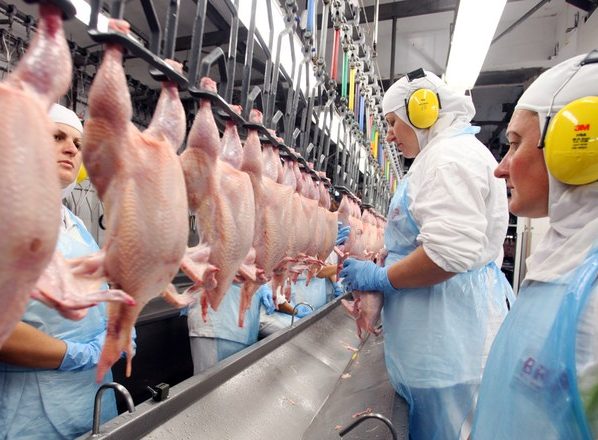 Dia Mundial do Frango: proteína tem consumo em alta no país