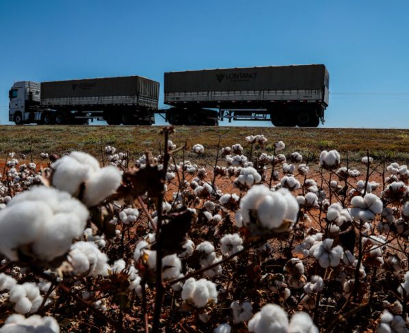 Mato Grosso ocupa posição de liderança na produção de grãos