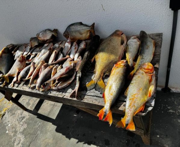 Pescador é preso por comércio irregular em Várzea Grande