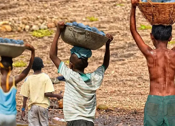 Mais de 6 mil crianças são resgatadas do trabalho infantil em 2 anos
