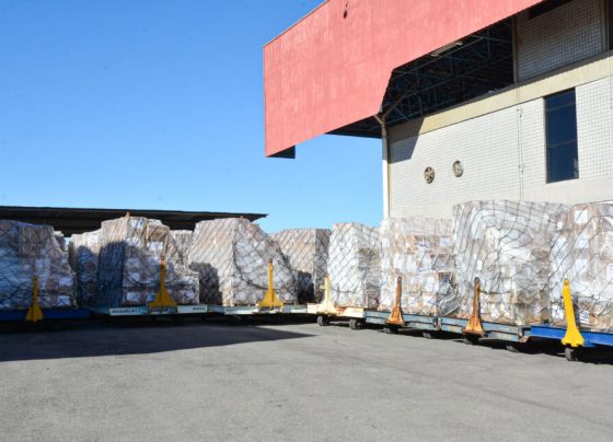 Diversificação de mercados faz de MT o 2º Estado menos impactado por tarifa dos EUA