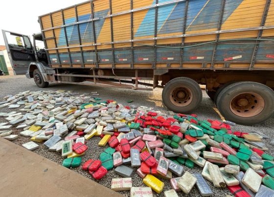 Mato Grosso apreende R$ 441 milhões do crime organizado no 1º semestre