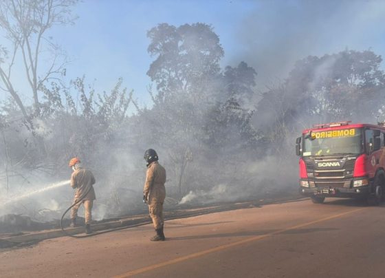 Fogo em vegetacao do Altos da Serra