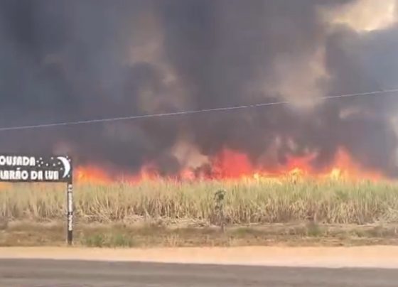 Fumaça de incêndio interdita BR-174 em Glória D’Oeste. (Foto: Reprodução).