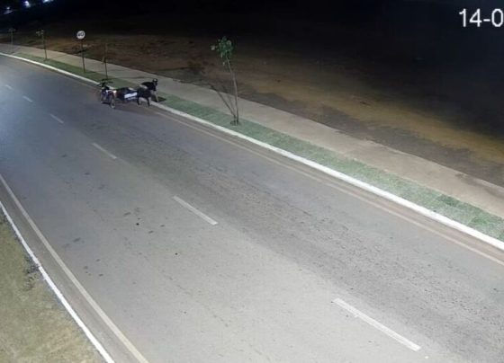 Homem tenta roubar grama da cidade e acaba preso em MT