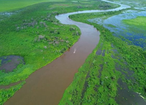 Rio cortando o Pantanal de Mato Grosso do Sul.
