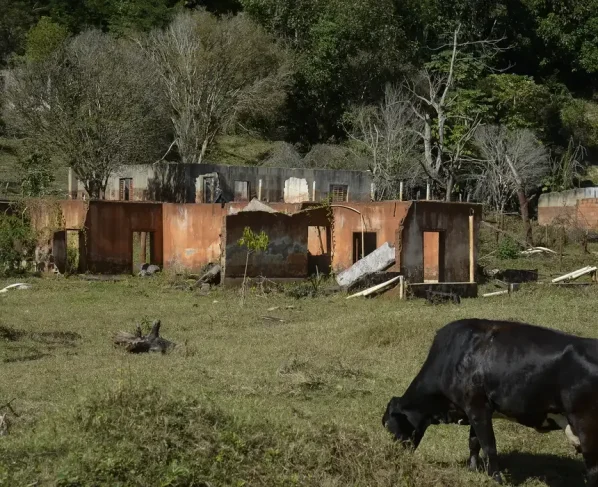 Rejeito expõe violência causada pela mineração em comunidades mineiras