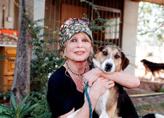 Brigitte Bardot: 5 filmes para conhecer a carreira da atriz - destaque galeria