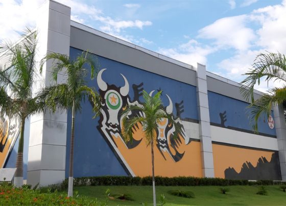 Reprodução: Secom/MT