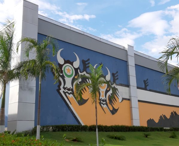 Reprodução: Secom/MT