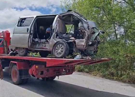 Situação da van onde família viajava; 12 morreram após colisão com árvore (Foto: Puerto Suarez Unitel Canal 9)