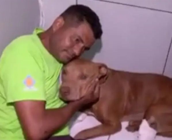 Uma nova chance: cachorro enterrado vivo em Cuiabá é adotado por homem que o salvou