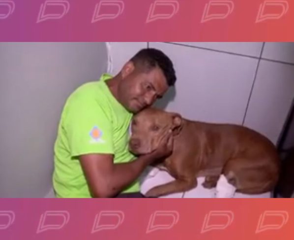 Cachorro enterrado vivo é resgatado, recebe tratamento e já tem novo lar em Cuiabá