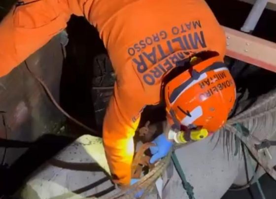 Cavalo é resgatado após cair em poço em Várzea Grande