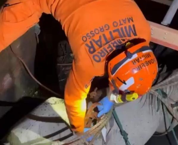 Cavalo é resgatado após cair em poço em Várzea Grande