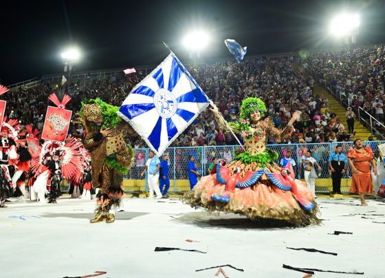 uso até 28.2 – academicos-de-niteroi-5