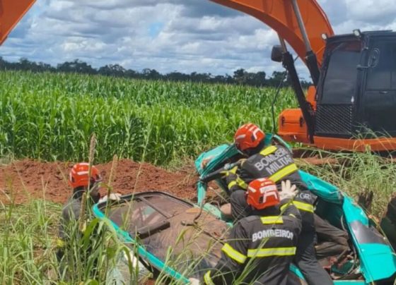 Carga esmaga cabine e mata motorista na MT-423