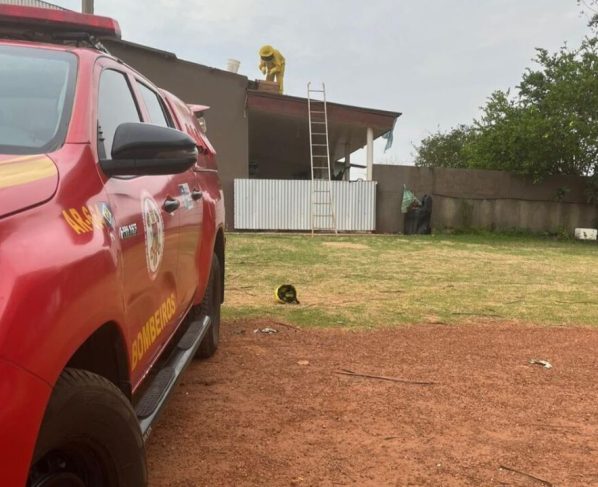Invasão de abelhas obriga evacuação de casa e mobiliza bombeiros em MT