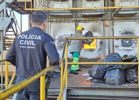 PJC queima entorpecentes de 25 inquéritos e expõe crimes dentro de presídio em Alto Araguaia