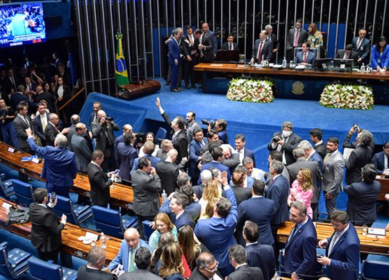Reprodução: Senado Federal