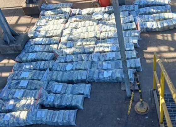 Polícia Civil incinera mais de 1 tonelada de supermaconha em MT