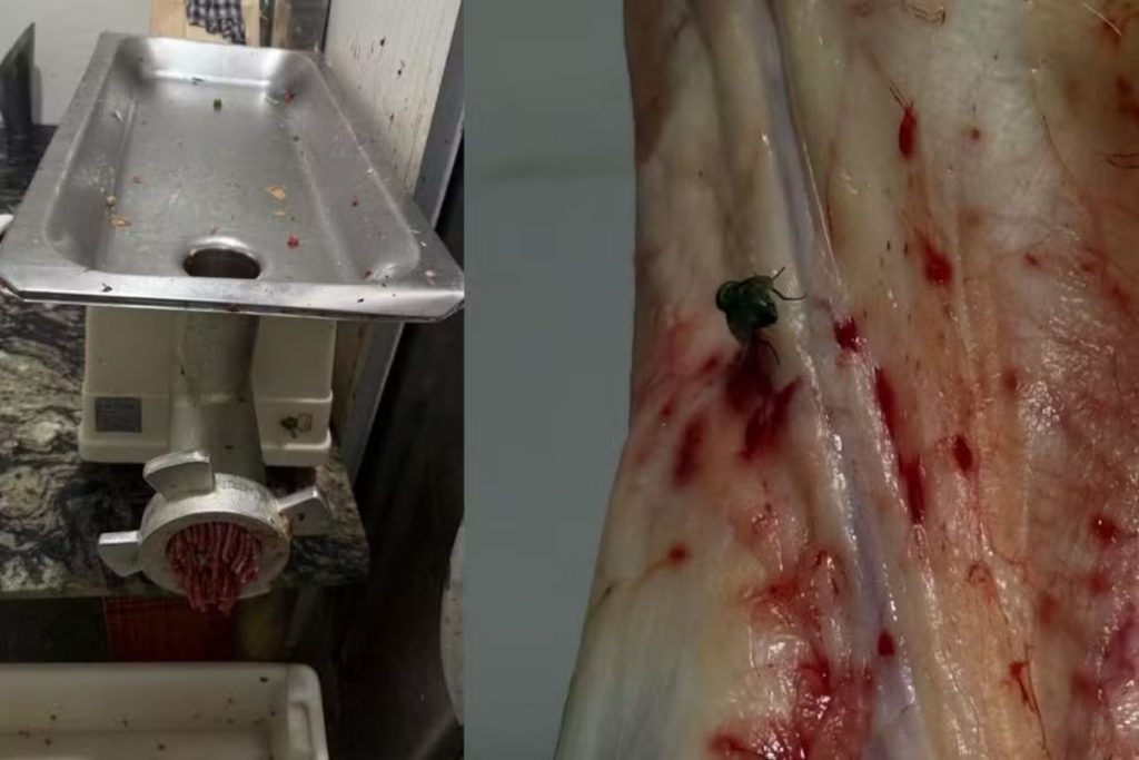 Açougue é interditado após apreensão de 475 kg de carnes em MS. (Foto: Divulgação)
