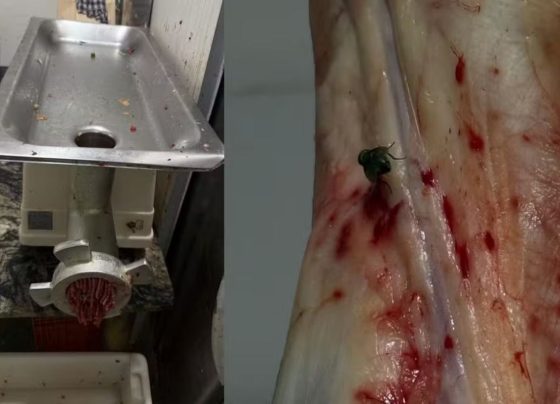 Açougue é interditado após apreensão de 475 kg de carnes em MS. (Foto: Divulgação)